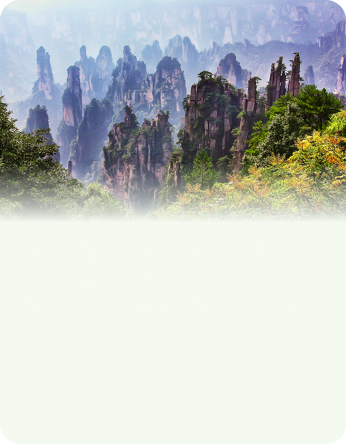최신상품